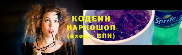 амф Пестово