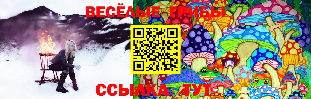 Псилоцибиновые грибы мухоморы Сафоново